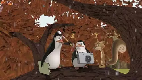 Os Pinguins de Madagascar S3E31