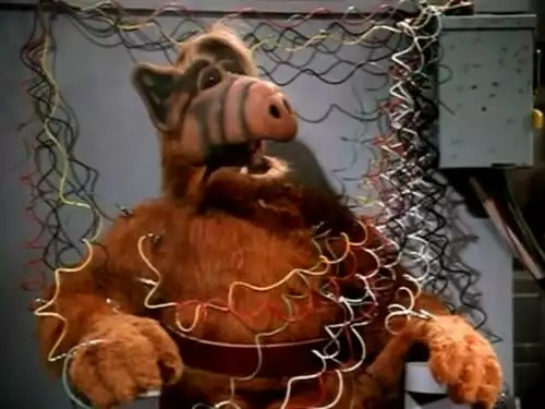 ALF, o ETeimoso S0E2