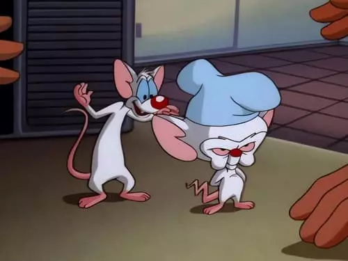 Pinky e o Cérebro S3E51