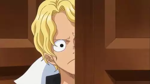 One Piece S20E888