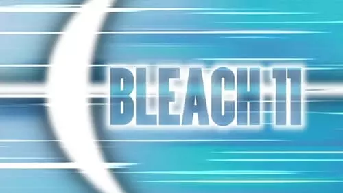 Bleach S1E11