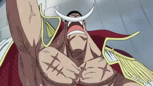 One Piece S13E475