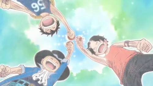 One Piece S13E496