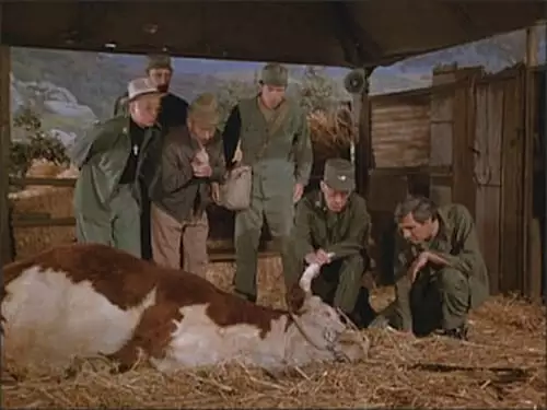 M*A*S*H S10E11