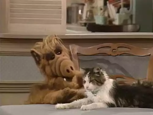 ALF, o ETeimoso S1E3