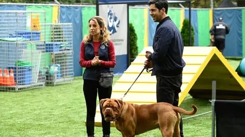 Turner e Hooch S1E1