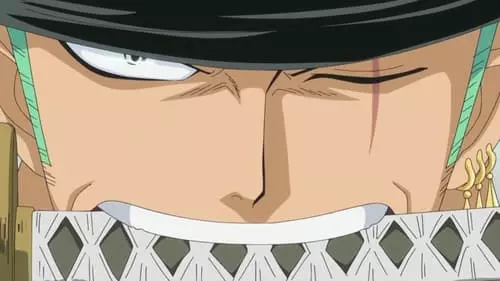 One Piece S14E555