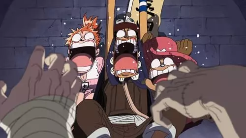 One Piece S10E342