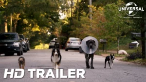 Ruim pra Cachorro – Trailer com Acessibilidade