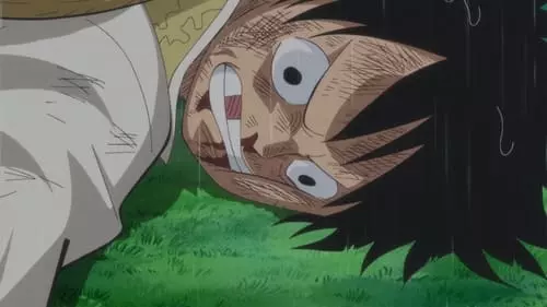 One Piece S19E809