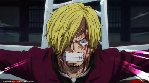 One Piece S21E1020