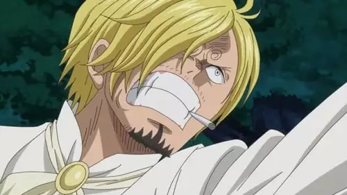 One Piece S19E848