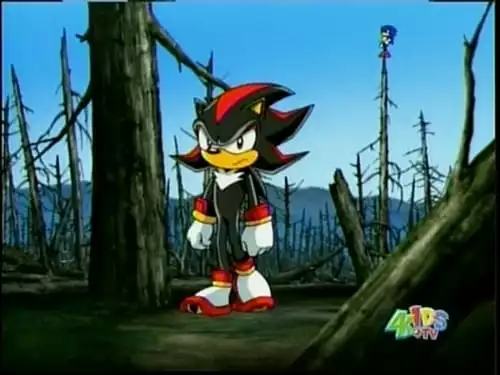 Sonic X S3E22