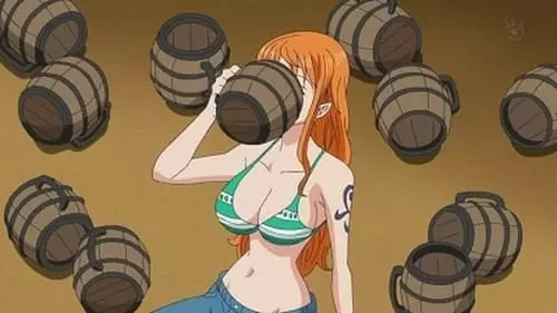 One Piece S14E569