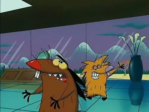 Os Castores Pirados S3E43