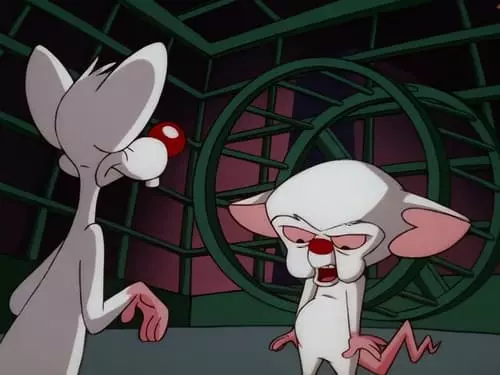 Pinky e o Cérebro S4E8