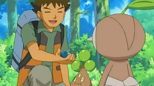 Pokémon S10E14