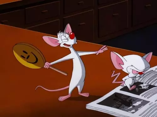 Pinky e o Cérebro S3E15