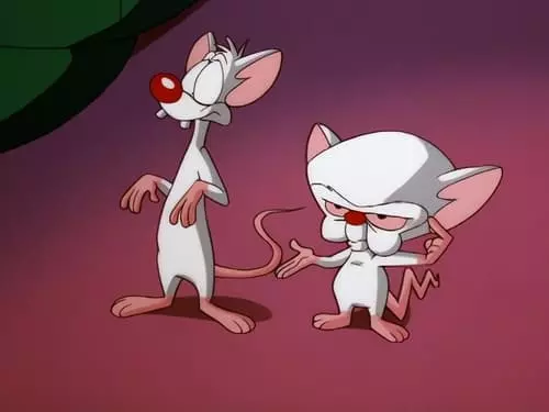 Pinky e o Cérebro S3E34