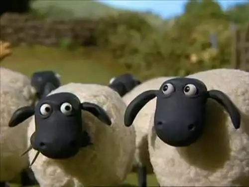 Shaun, o Carneiro S1E21