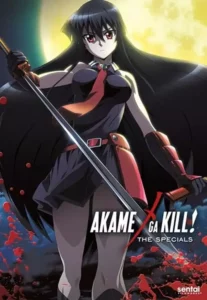 Akame ga Kill! – Especiais