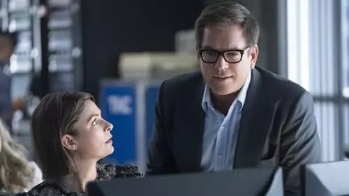 Bull S6E2