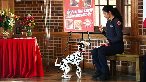 Chicago Fire: Heróis Contra o Fogo S7E11