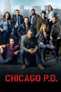 Chicago P.D.: Distrito 21 – Temporada 3