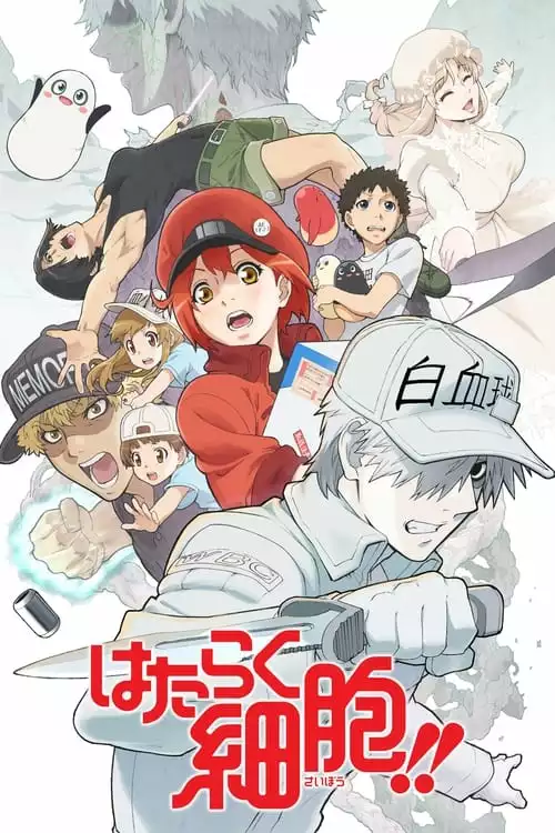 Cells at Work! – Hataraku Saibou!!