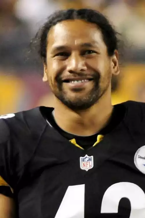 Troy Polamalu