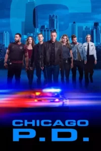 Chicago P.D.: Distrito 21 – Temporada 7