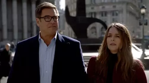 Bull S6E17