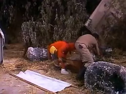 Chapolin Colorado S4E2