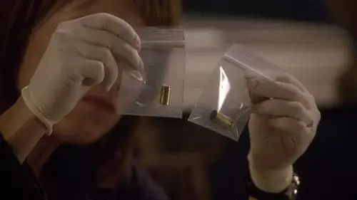 CSI: Nova York S7E5