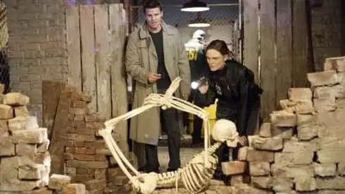 Bones S3E13