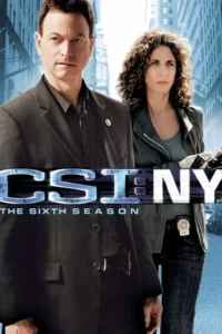 CSI: Nova York – Temporada 6