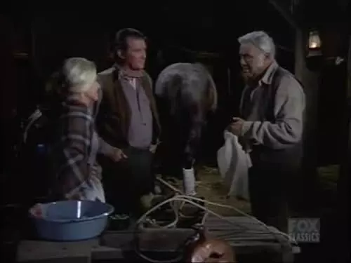 Bonanza S13E17