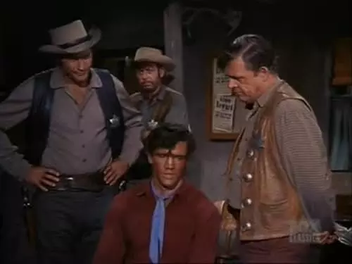 Bonanza S11E3