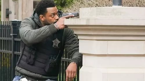 Chicago P.D.: Distrito 21 S9E19