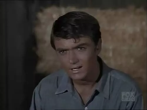 Bonanza S7E11