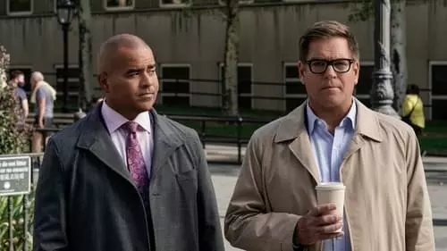 Bull S6E7