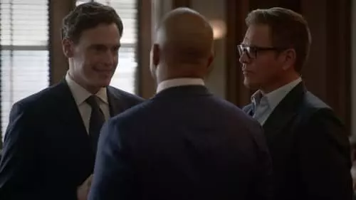 Bull S6E8