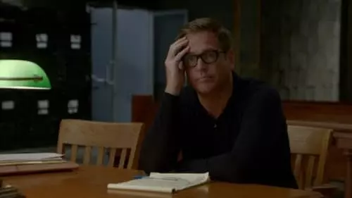 Bull S6E6