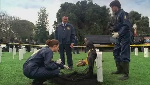 Bones S1E21