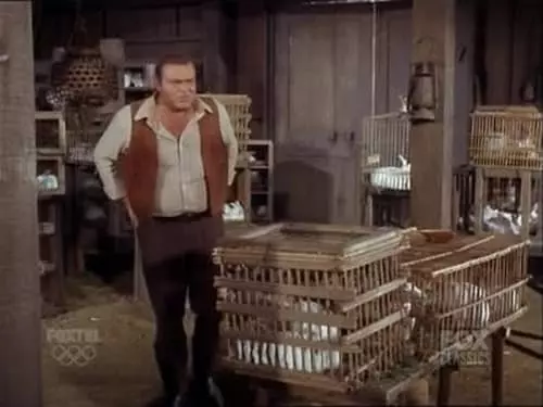 Bonanza S8E16