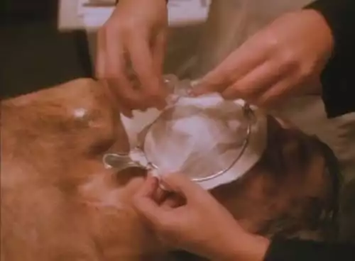 Além da Imaginação S0E3
