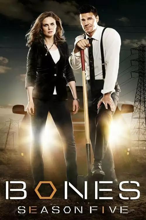 Bones – Temporada 5