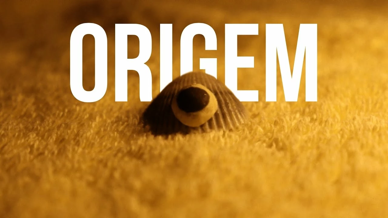 The Origin – A Origem | stop motion