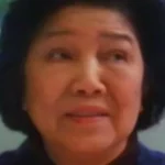 Hui Fan