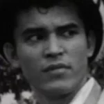 桐野洋雄